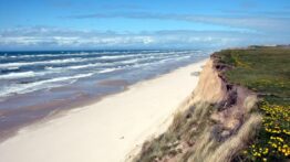 forside vestjylland